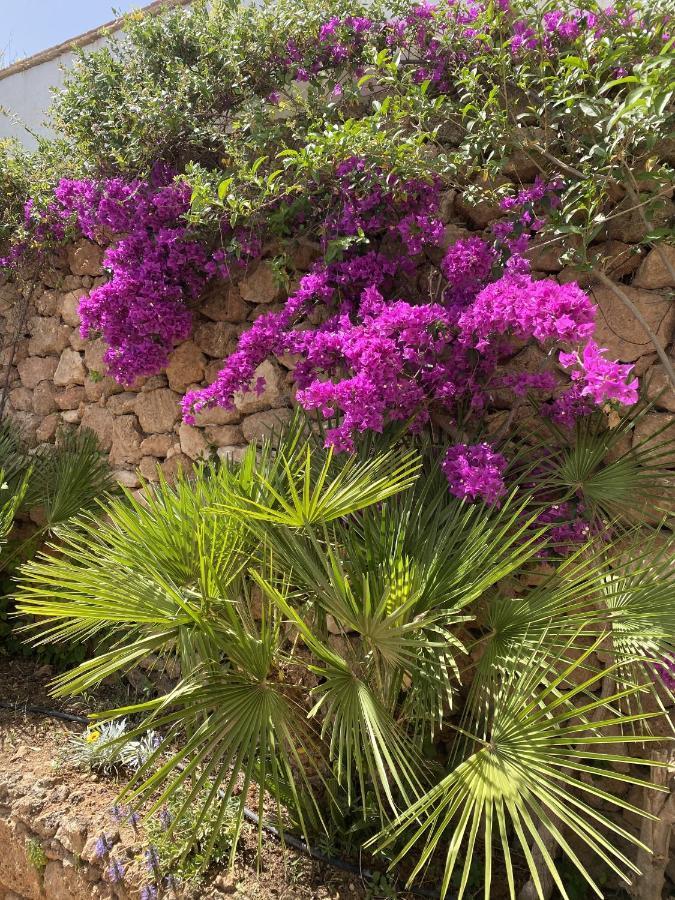 Terraced House In The Mountains With Fantastic View Hébergement de vacances Málaga